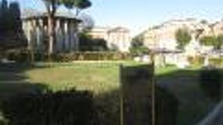 撮影するために並んでいました