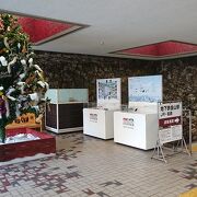 エントランス付近のクリスマスツリーが印象的