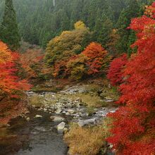 川と渓谷と紅葉