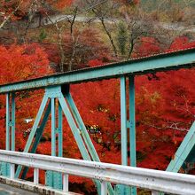 大釣橋付近は紅葉がこぼれるよう