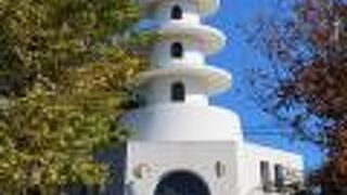 教育に良いと思う