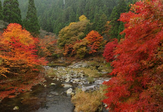 奥津温泉の自然・景勝地 ランキング