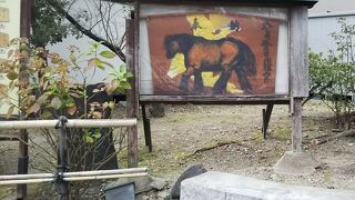 雑誌じゃなく実際に見てほしい