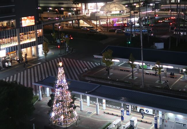 LEDの光の街、徳島をPRするためのツリー