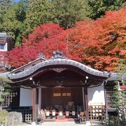 鳥居からの景色はよい