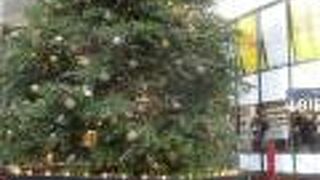 華やかな１２月です