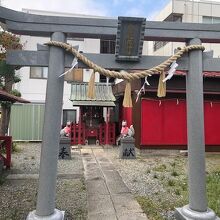 鳥居越しの、真っ赤な拝殿