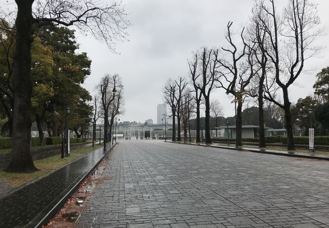 若葉東公園 クチコミ アクセス 営業時間 四ツ谷 フォートラベル 若葉東公園 クチコミ アクセス 営業時間 四ツ谷 フォートラベル
