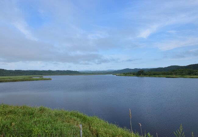 国道38号線沿いに広がる湿地帯