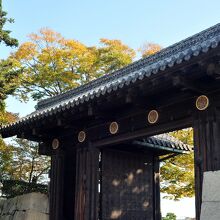 桐の紋が印象的だ