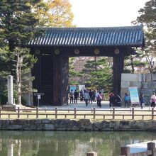 高さが目につく