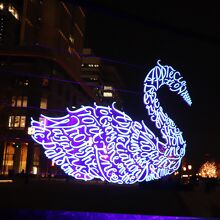 白鳥のカリグラフィ