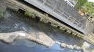 足湯もあります