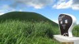 本当に緑が美しい