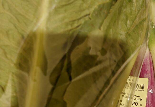 いつ行っても楽しめます