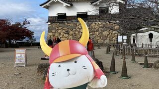 国宝の天守閣はさすがの美しさ