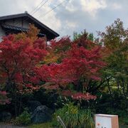 さがの楓カフェ