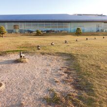 彫刻の一つ宍道湖うさぎ