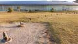 宍道湖の夕日を堪能