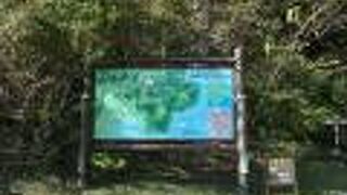 芦ノ湖沿いを散策しました