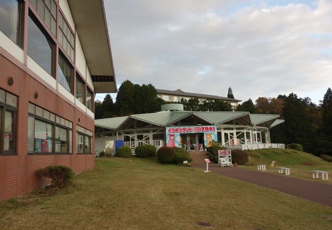 神奈川県の動物園 クチコミ人気ランキングtop17 フォートラベル 神奈川県の動物園 クチコミ人気ランキングtop17 フォートラベル