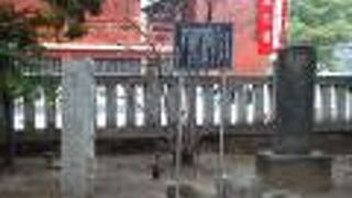 浅草生まれの歌舞伎役者です