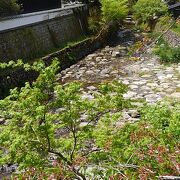 苔むした石垣が素敵