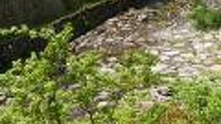 苔むした石垣が素敵