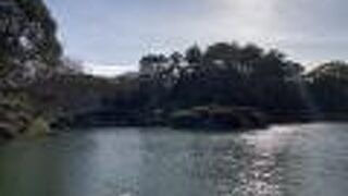 ハート型のツツジあり