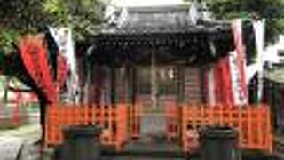 赤い鳥居が並んでいます