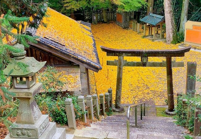 広徳寺