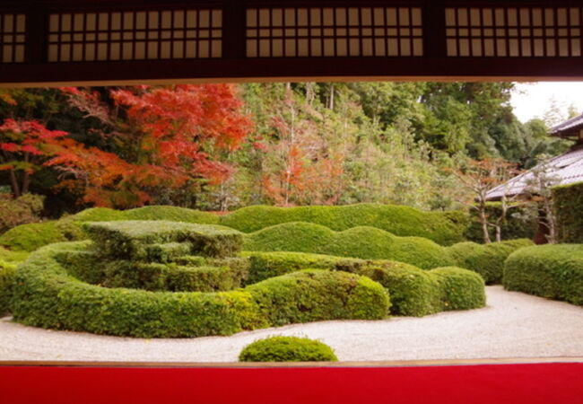 大池寺蓬莱庭園 クチコミ・アクセス・営業時間｜甲賀【フォートラベル】