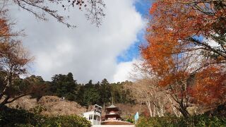 寒いけれど青空、お参りにいきました