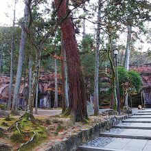 木々の奥にレンガの橋が