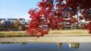 京都中心地を流れる川