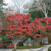 園内のいたる所が紅葉で赤く染まっていました