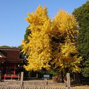 拝殿付近の紅葉が綺麗でした