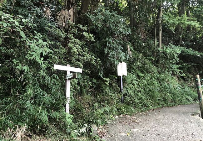 蘆花記念公園 クチコミ アクセス 営業時間 逗子 葉山 フォートラベル