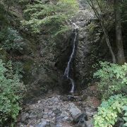 昼なお薄暗い深山の滝