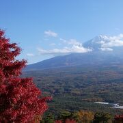 紅葉と、雪、緑、さらにもみじの赤も