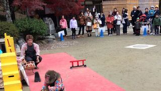 足助屋敷と隣接