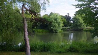 緑と水が豊かでのんびりとした雰囲気の公園