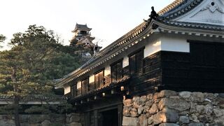 高知市内の一大観光名所の城