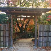 相楽園内の日本庭園　