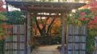 相楽園内の日本庭園　