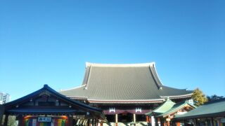 歳の市（羽子板市）