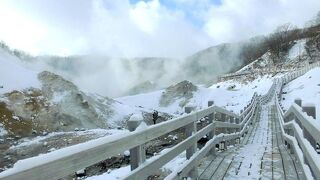 雪が降ってきました