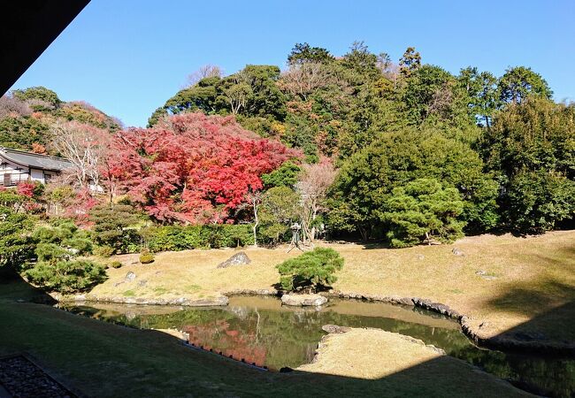 建長寺 庭園 クチコミ アクセス 営業時間 鎌倉 フォートラベル 建長寺 庭園 クチコミ アクセス 営業時間 鎌倉 フォートラベル