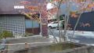 紅葉した紅葉の葉が