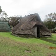 指宿温泉街の西に広がる遺跡